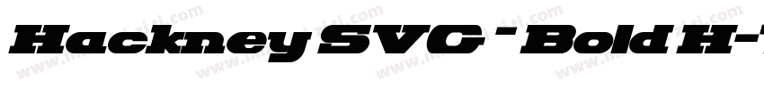 Hackney SVG – Bold H字体转换